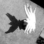 L'inganno dell'aspettativa