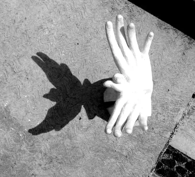 L'inganno dell'aspettativa