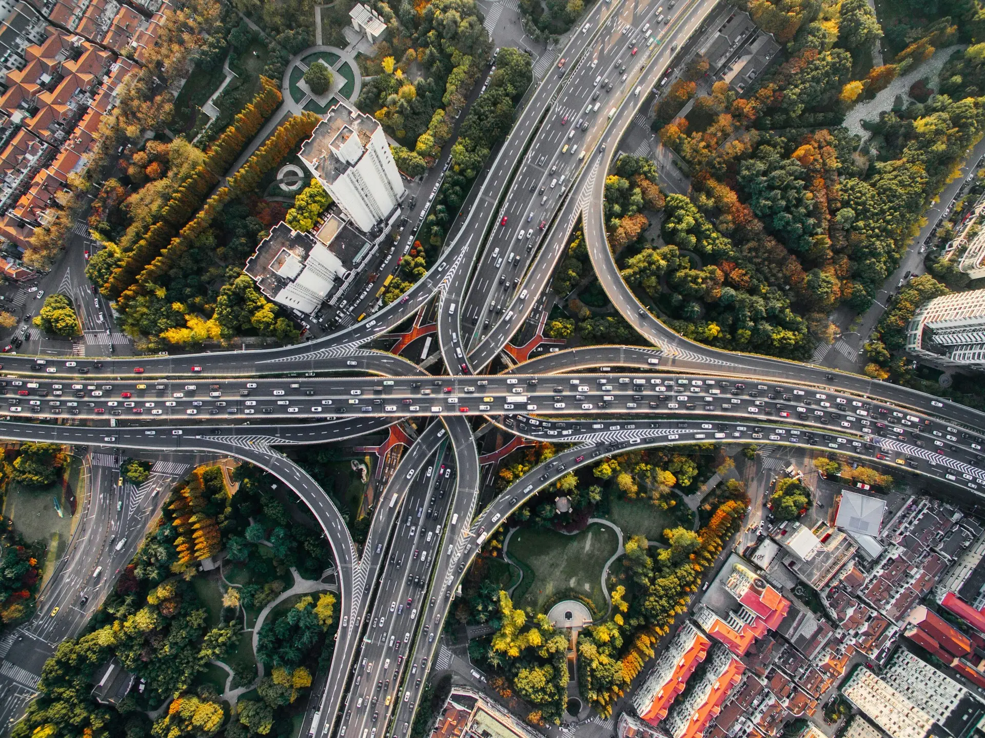 Trovare la propria strada professionale